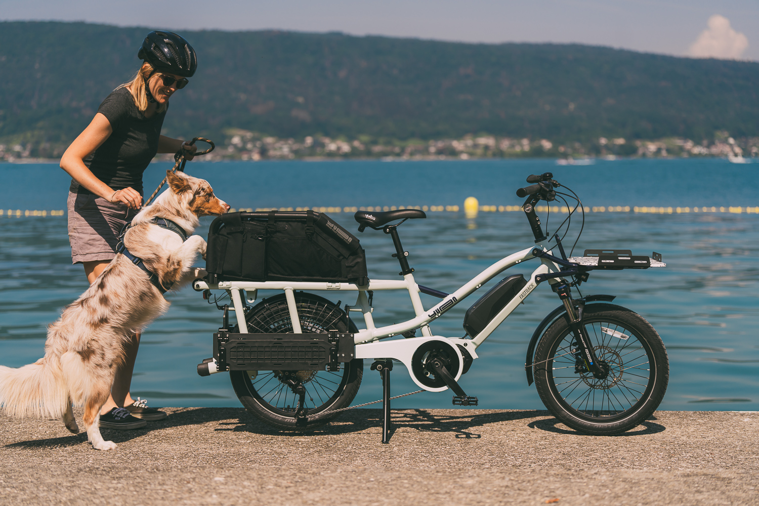 Yuba FastRack Velo Familial